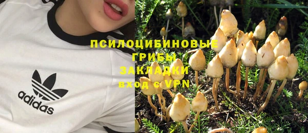 кокаин колумбия Каменка