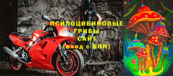 каннабис Каменногорск